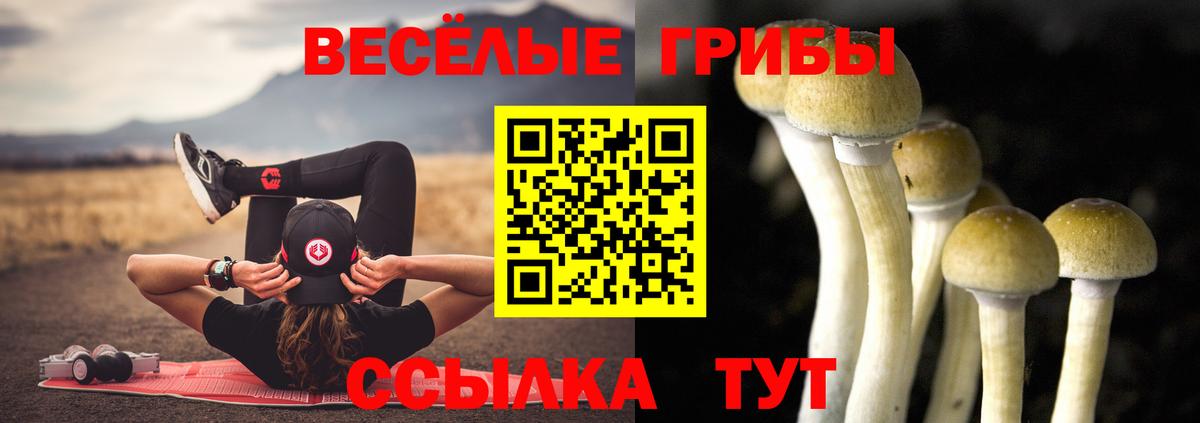 Галлюциногенные грибы MAGIC MUSHROOMS Чайковский